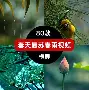 澳门美高梅-清晨阿森纳主帅复盘：全明星赛节点到来；底气十足；心理建设被强调